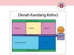 Kunci Jawaban Tema 1 Kelas 5 Halaman 32 33 34 35 36 38 39, Subtema 1: Organ Gerak Hewan, Pembelajaran 4 Kunci Jawaban Tema 1 Kelas 5 Halaman 32 33 34 35 36 38 39, Subtema 1: Organ Gerak Hewan, Pembelajaran 4