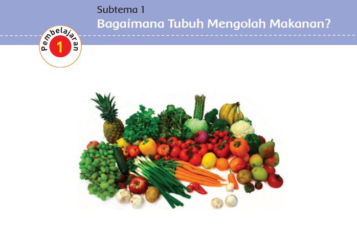 Kunci Jawaban Tema 3 Kelas 5 SD Halaman 2 4 5 6 8 9 10 11, Subtema 1 Bagaimana Tubuh Mengolah Makanan: Pembelajaran 1