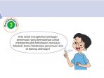 Kunci Jawaban Tema 3 Kelas 6 Halaman 84 87 88, Subtema 2: Penemu dan Manfaatnya, Pembelajaran 3