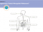 Kunci Jawaban Tema 3 Kelas 5 Halaman 35 36 37 38, Subtema 1 Bagaimana Tubuh Mengolah Makanan: Pembelajaran 5 Kunci Jawaban Tema 3 Kelas 5 Halaman 35 36 37 38, Subtema 1 Bagaimana Tubuh Mengolah Makanan: Pembelajaran 5