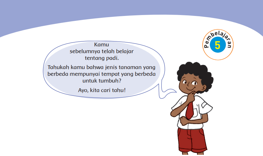 Kunci Jawaban Tema 3 Kelas 4 Halaman 32 33 34 35 36 37 38 39, Subtema 1 Hewan dan Tumbuhan di Lingkungan Rumahku: Pembelajaran 5