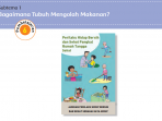 Kunci Jawaban Tema 3 Kelas 5 Halaman 40 41 42 43, Subtema 1 Bagaimana Tubuh Mengolah Makanan: Pembelajaran 6 Kunci Jawaban Tema 3 Kelas 5 Halaman 40 41 42 43, Subtema 1 Bagaimana Tubuh Mengolah Makanan: Pembelajaran 6