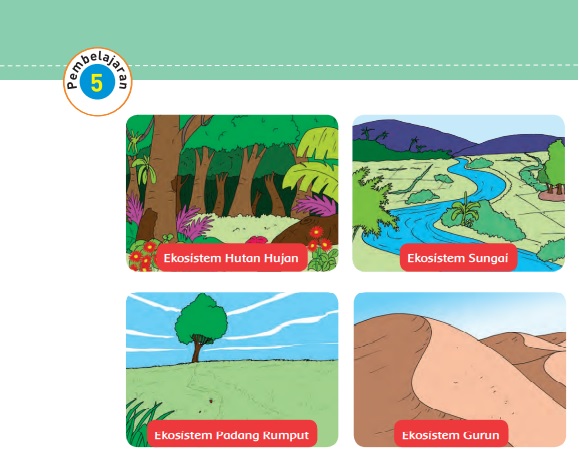 Kunci Jawaban Tema 5 Kelas 5 Halaman 85 86 87 89, Subtema 2: Hubungan Antarmakhluk Hidup dalam Ekosistem, Pembelajaran 5
