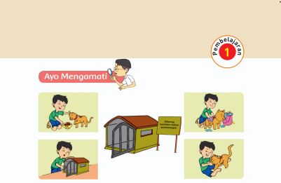 Kunci Jawaban Tema 7 Kelas 1 Halaman 50 52 53, Subtema 2: Hewan di Sekitarku, Pembelajaran 1