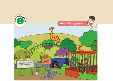 Kunci Jawaban Tema 7 Kelas 1 Halaman 65 77 79 80 81 71 72, Subtema 2: Hewan di Sekitarku, Pembelajaran 3