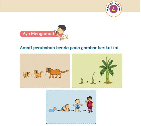 Kunci Jawaban Tema 7 Kelas 1 Halaman 28 29 32, Subtema 1 Benda Hidup dan Tak Hidup di Sekitar Kita: Pembelajaran 4