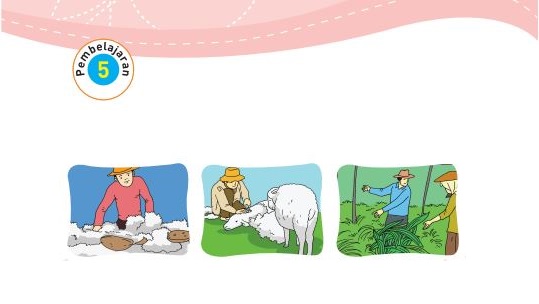 Kunci Jawaban Tema 7 Kelas 3 Halaman 100 101 103, Subtema 2: Perkembangan Teknologi Produksi Sandang, Pembelajaran 5