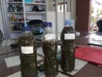 Kelompok Tani Gunakan Biosaka Tingkatkan Produktivitas Tanaman