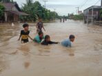 Curah Hujan Tinggi, Kecamatan di Pesisir Selatan Terendam Banjir Kecamatan di Pesisir Selatan Terendam Banjir