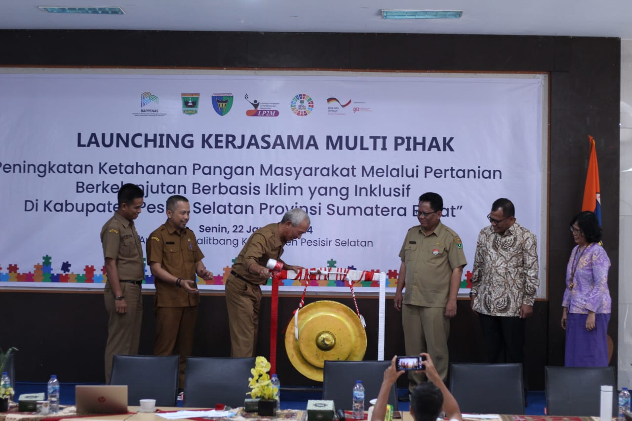 Pesisir Selatan Surplus Beras 51.150 ton
