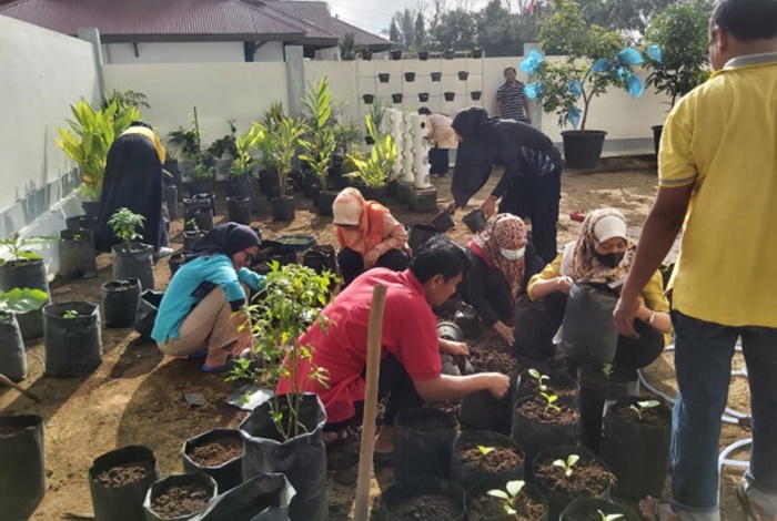Dinas Pangan Kota Solok Dorong Diversifikasi Pangan