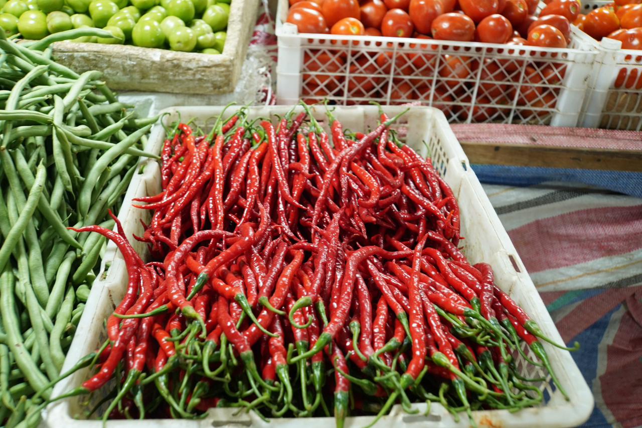 Panen Melimpah, Cabai Merah Turun Setengah Harga di Padang Panjang