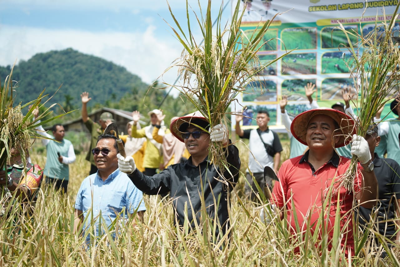 Pemerintah Kabupaten Solok Selatan Dukung Metode Tanam Tanpa Olah Tanah Untuk Ketahanan Pangan
