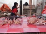 Daging Ayam dan Tiga Komoditas Pangan Padang Panjang Turun Harga