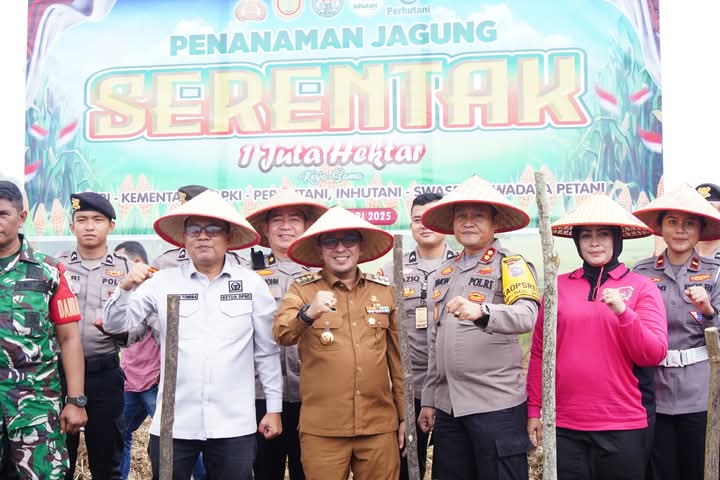 Pemerintah Kabupaten Tanah Datar Tanam jagung serentak satu juta hektare