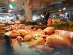 Pasokan Stabil, Harga Daging Ayam Broiler Kembali Turun