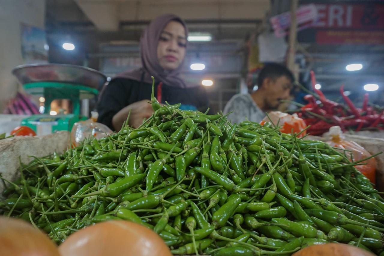 Harga Cabai Rawit Turun Signifikan menjadi Rp47.334/kg