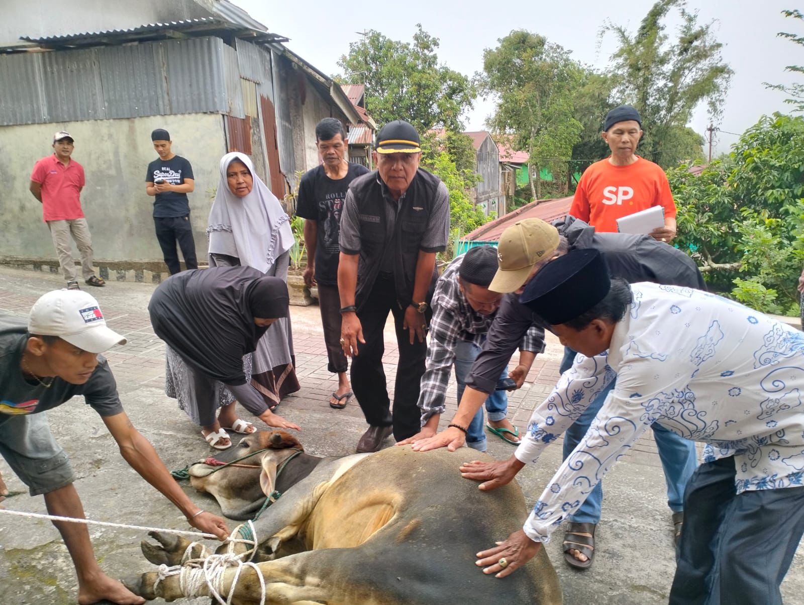 591 Hewan Kurban Disembelih Saat Iduladha 1446 H di Padang Panjang