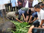 Gubernur Mahyeldi Ansharullah Serahkan Sapi Qurban Masyarakat Kabupaten Solok
