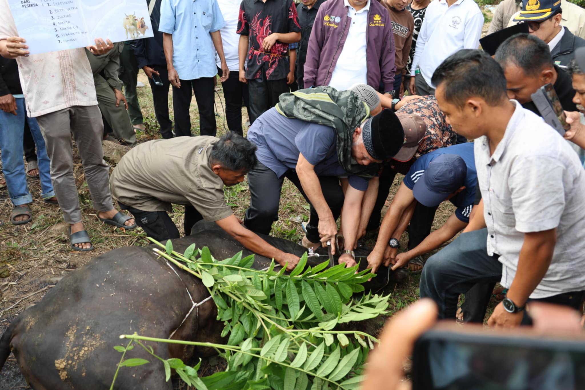 Gubernur Mahyeldi Ansharullah Serahkan Sapi Qurban Masyarakat Kabupaten Solok