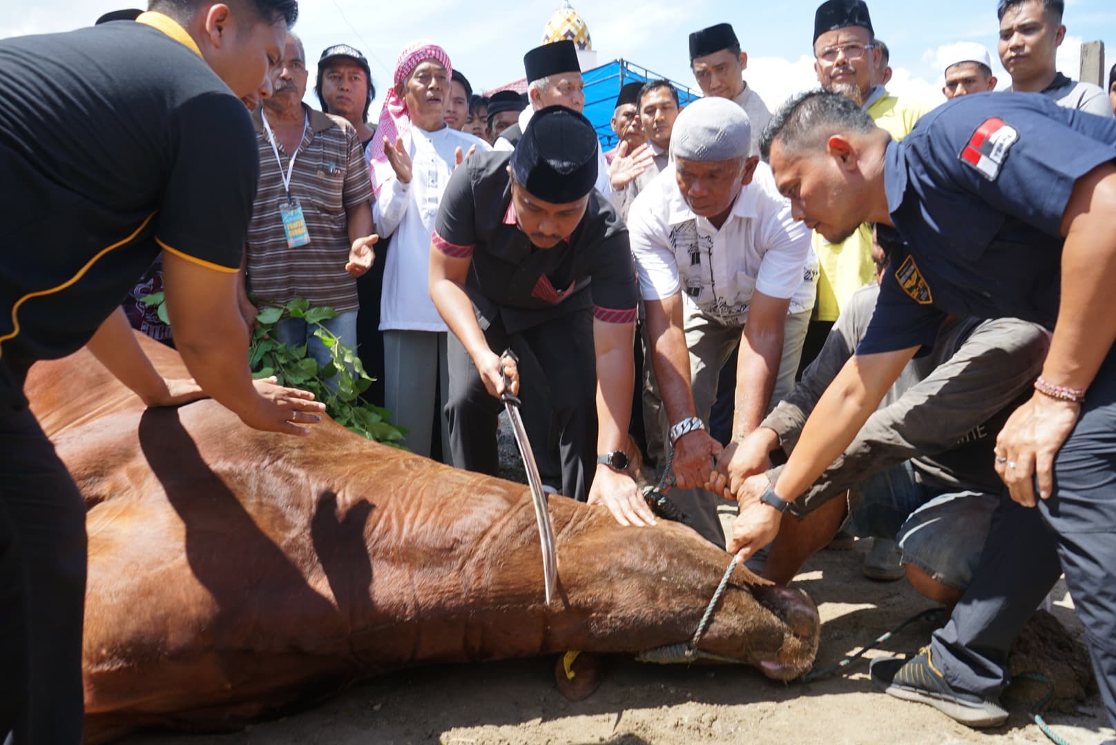 Pondok Pesantren Minangkabau Penuh Syukur Terima Bantuan Sapi Kurban Presiden, Diserahkan Langsung Wagub Vasko Ruseimy