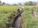 Enam Daerah Irigasi Kota Padang Panjang Terima Program Peningkatan Tata Guna Air Irigasi 2025