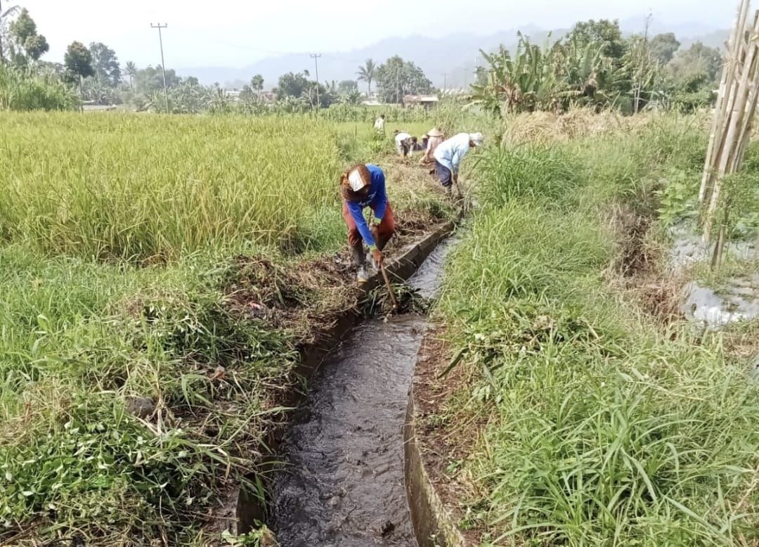Enam Daerah Irigasi Kota Padang Panjang Terima Program Peningkatan Tata Guna Air Irigasi 2025