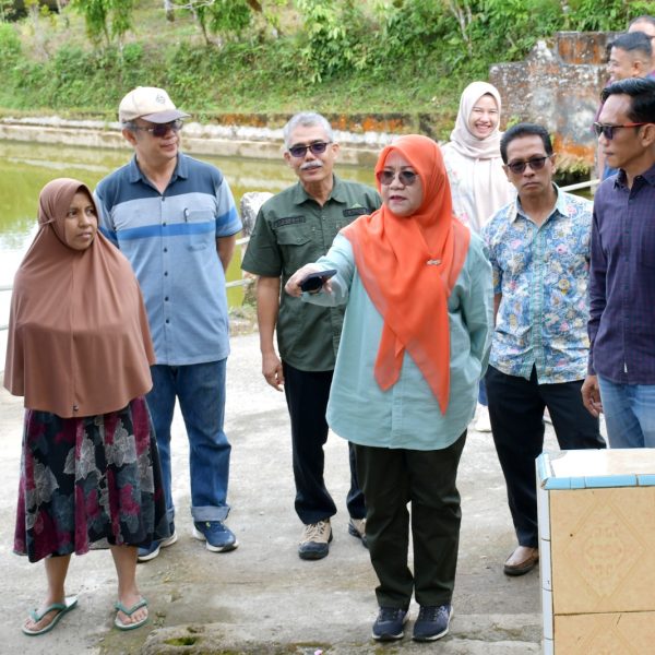 Ketua TP-PKK Agam Merry Benniwarlis Tinjau Nagari Baringin Pastikan Ketersediaan Air Bersih