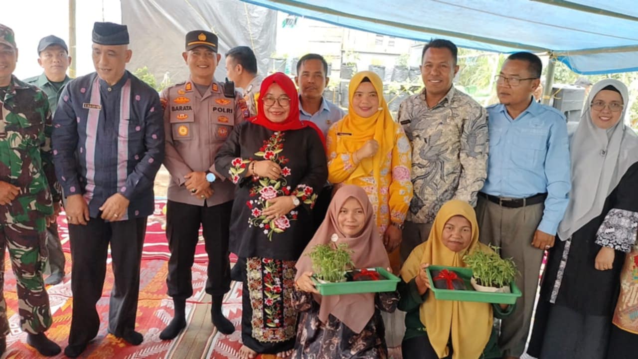 Upaya Kabupaten Solok Kendalikan Inflasi Melalui Gerakan Menanam Cabai