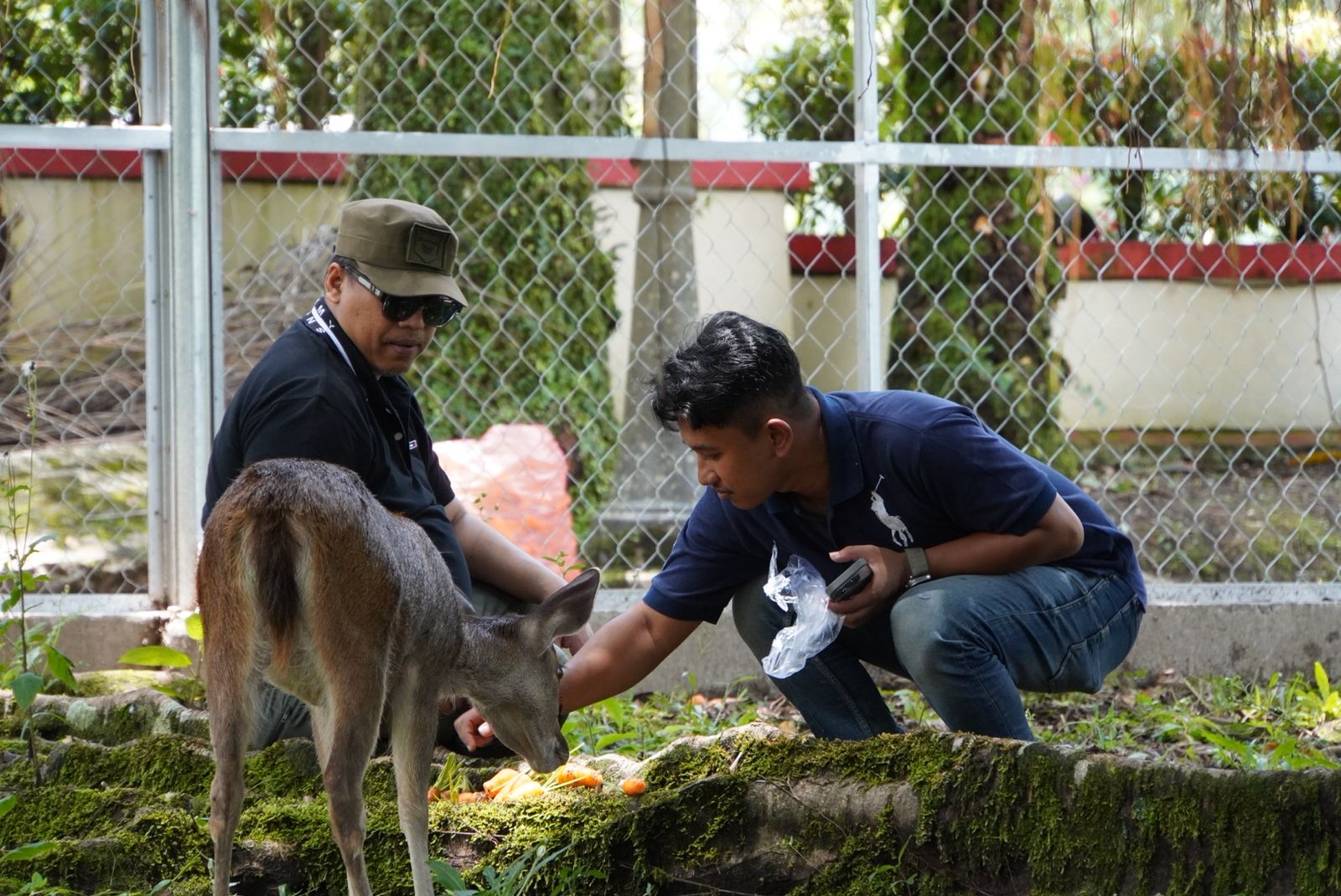 Belajar Budaya, Bermain dengan Rusa, Pesona Baru PDIKM Padang Panjang