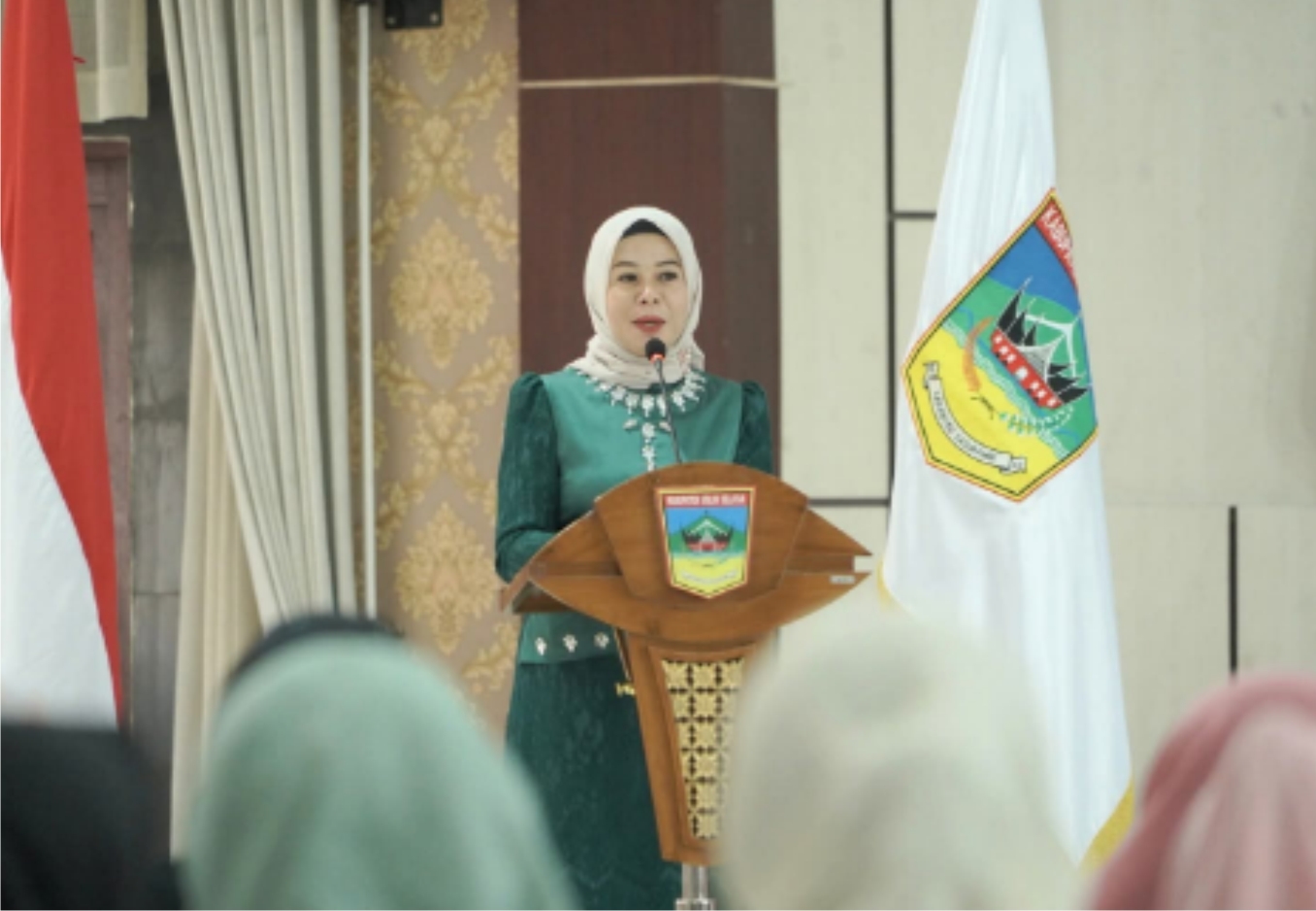 Fitri Syamsurizaldi : Kasus Kekerasan Pada Perempuan dan Anak Bagai Gunung Es Perlu Kolaborasi Untuk Perlindungan