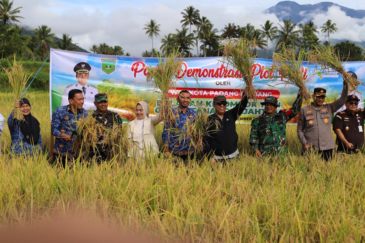 Panen Demplot Padi, Wako Padang Panjang Hendri Arnis Dorong Kemandirian Petani