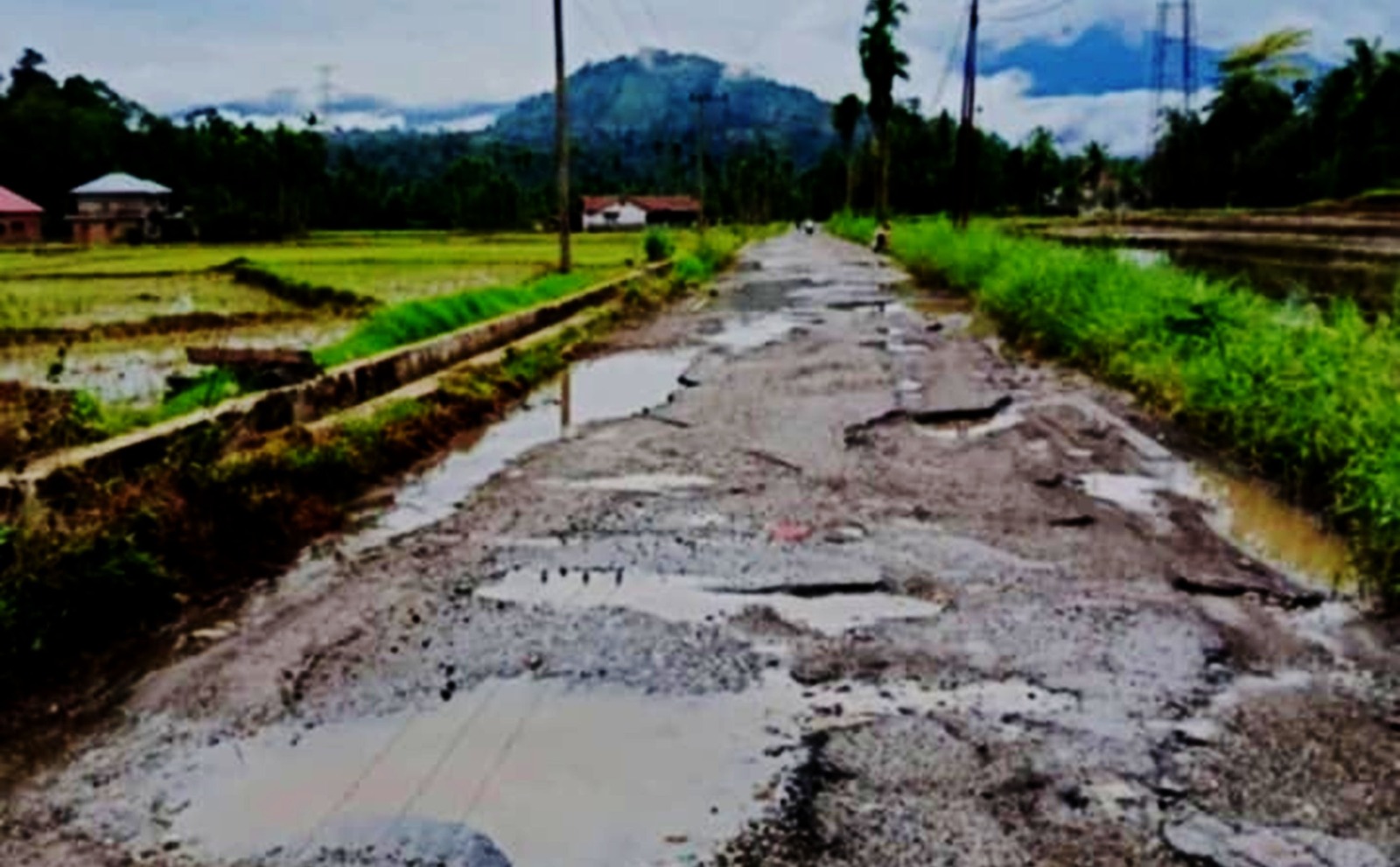 Jalan Provinsi Kumpulan Menuju Alahan Mati Hingga Nagari Simpang Kec. Simpati Pasaman Rusak Berat Dihiasi Banyak Lobang Menganga