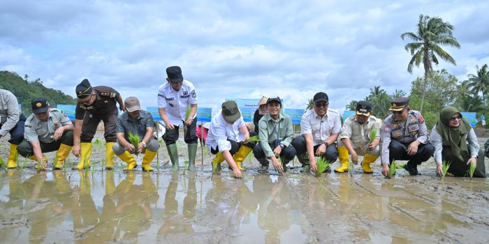 Pemprov Sumbar Siapkan Sejumlah langkah Strategis Percepat Proses Rehabilitasi Sawah Terdampak Bencana