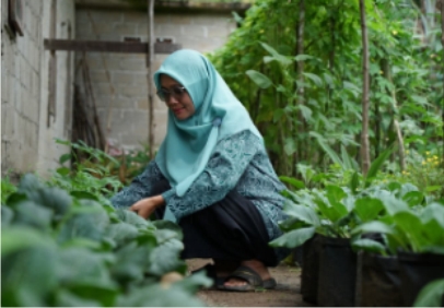 Kebun Nangka di Halaman Berubah Jadi Cuan di Jorong Paninjauan