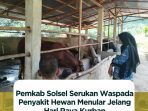 Pemerintah Kabupaten Solok Selatan Serukan Waspada Penyakit Hewan Menular Jelang Hari Raya Kurban