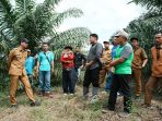 Wali Kota Riyanda Putra dan Wakil Wali Jeffry Hibatullah Kota Sawahlunto Tinjau Potensi Perkebunan di Puncak Polan