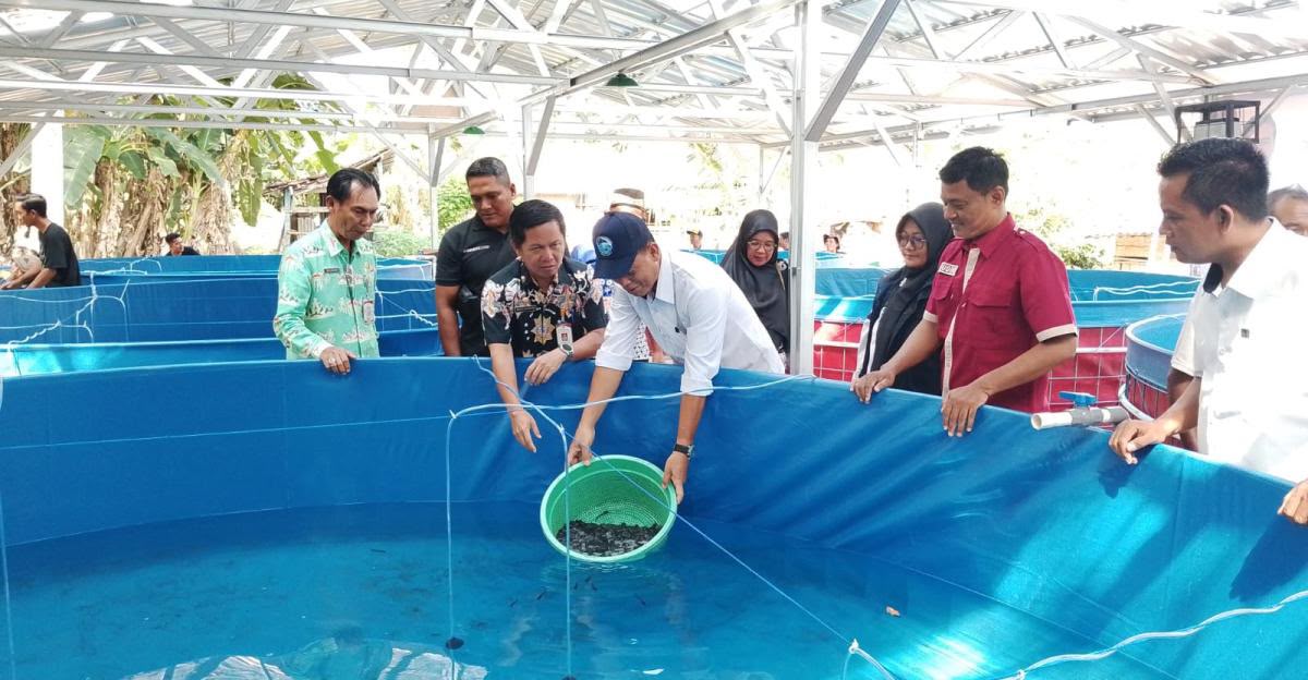 Gandeng Kepala BBPBL Lampung, Dinas Perikanan Tulang Bawang Tebar Benih Lele di Kolam Bioflok "Duta Fish Nusantara"