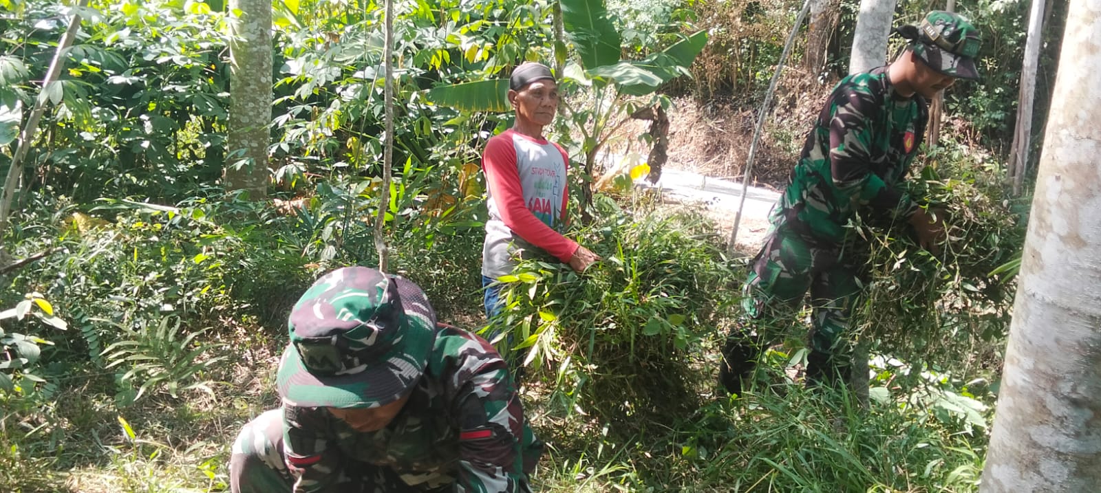 TMMD Reguler ke-129 Kodim 0714 Salatiga Lahan Perkebunan Warga Desa Cukil Akses Jalan Pertanian