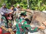 TMMD Reguler ke-129 Kodim 0714 Salatiga, TNI dan Rakyat Semangat Mengalahkan Alat Berat TMMD Reguler ke-129 Kodim 0714 Salatiga, TNI dan Rakyat Semangat Mengalahkan Alat Berat