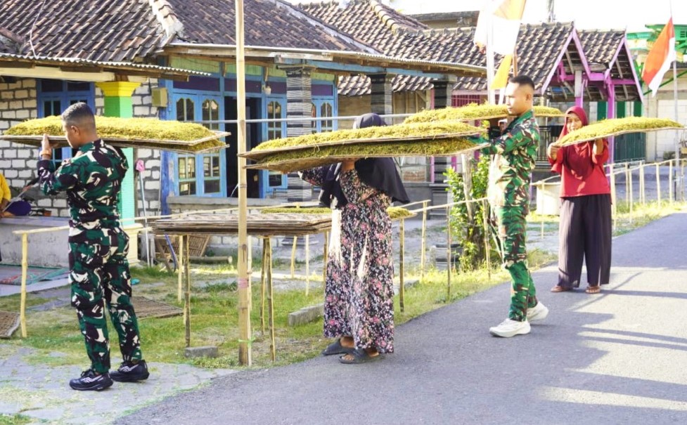 Kemanunggalan di Atas Widik, Cerita Kehangatan Satgas TMMD ke-129 Kodim 0813 Bojonegoro Bantu Olah Tembakau Petani Kesongo