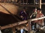 Melampaui Target, TMMD ke-129 Kodim 0813 Bojonegoro dan Disnakkan Sentuh Nadi Ekonomi Warga Lewat Layanan Kesehatan Hewan