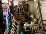 TMMD Reguler ke-129 Kodim 0714 Salatiga, Membiakkan Asa di Tepi Desa Cukil
