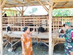 TMMD ke-129 Kodim 0813 Bojonegoro, Babinsa Kesongo 'Sentuh Hati' Peternak Kambing TMMD ke-129 Kodim 0813 Bojonegoro, Babinsa Kesongo 'Sentuh Hati' Peternak Kambing
