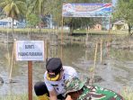 Hari Ulang Tahun ke-81 TNI, 1.000 Bibit Mangrove Ditanam Serentak di Batang Gasan Hari Ulang Tahun ke-81 TNI, 1.000 Bibit Mangrove Ditanam Serentak di Batang Gasan