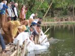 Jaga Kelestarian Perairan, Wali Kota Solok Ramadhani Kirana Putra Lepas Benih Ikan di Nan Balimo Jaga Kelestarian Perairan, Wali Kota Solok Ramadhani Kirana Putra Lepas Benih Ikan di Nan Balimo