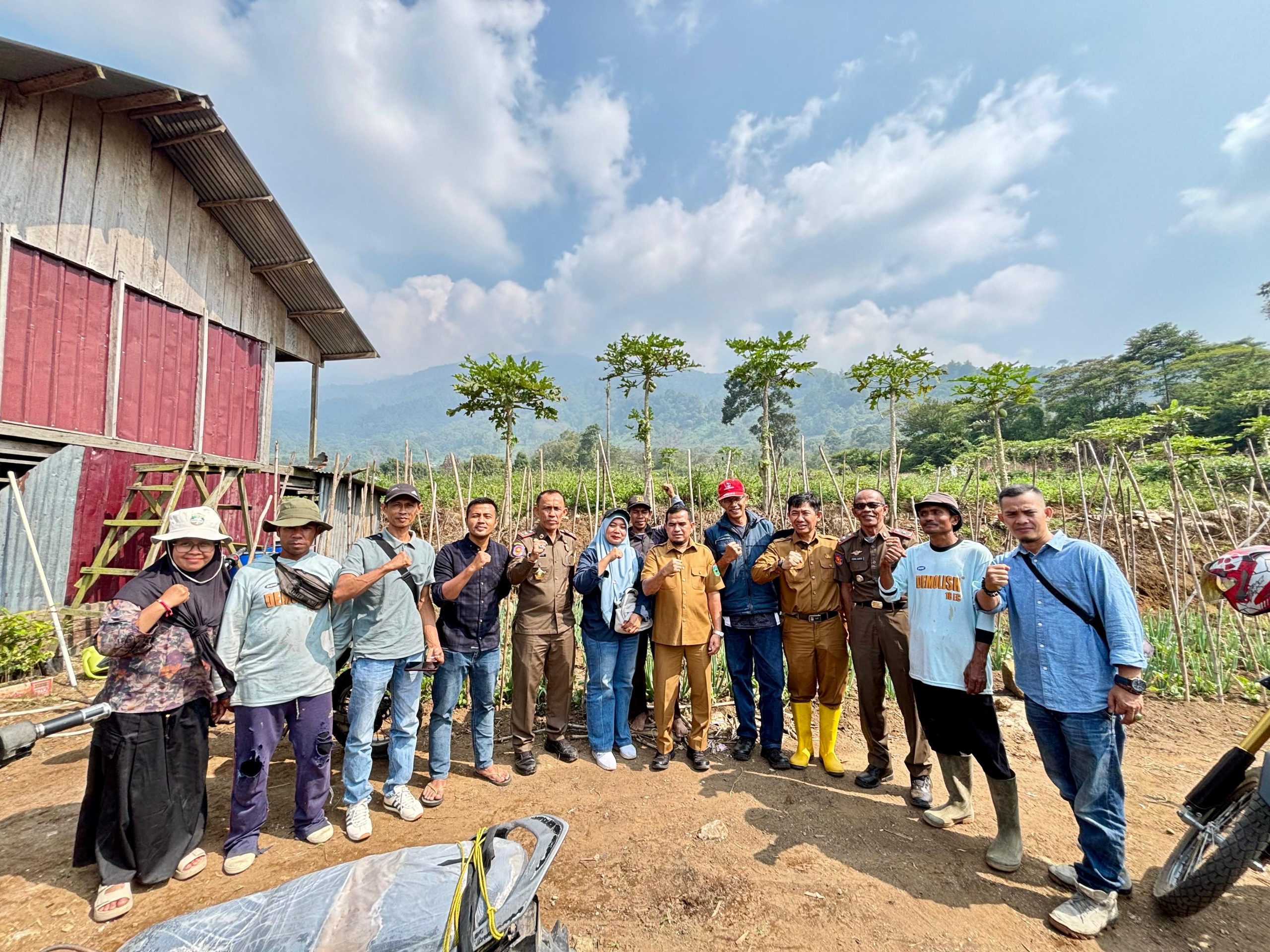 Wakil Bupati Solok Candra Tinjau Potensi Kopi dan Bawang Merah di Anau Kadok